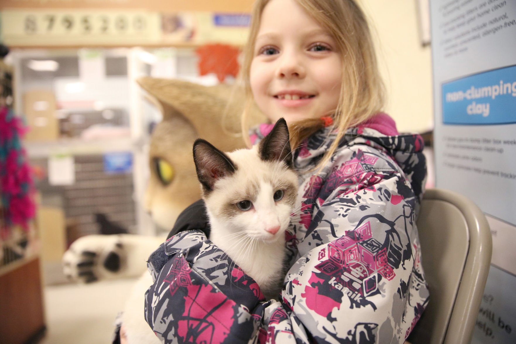 Smitten for Kittens